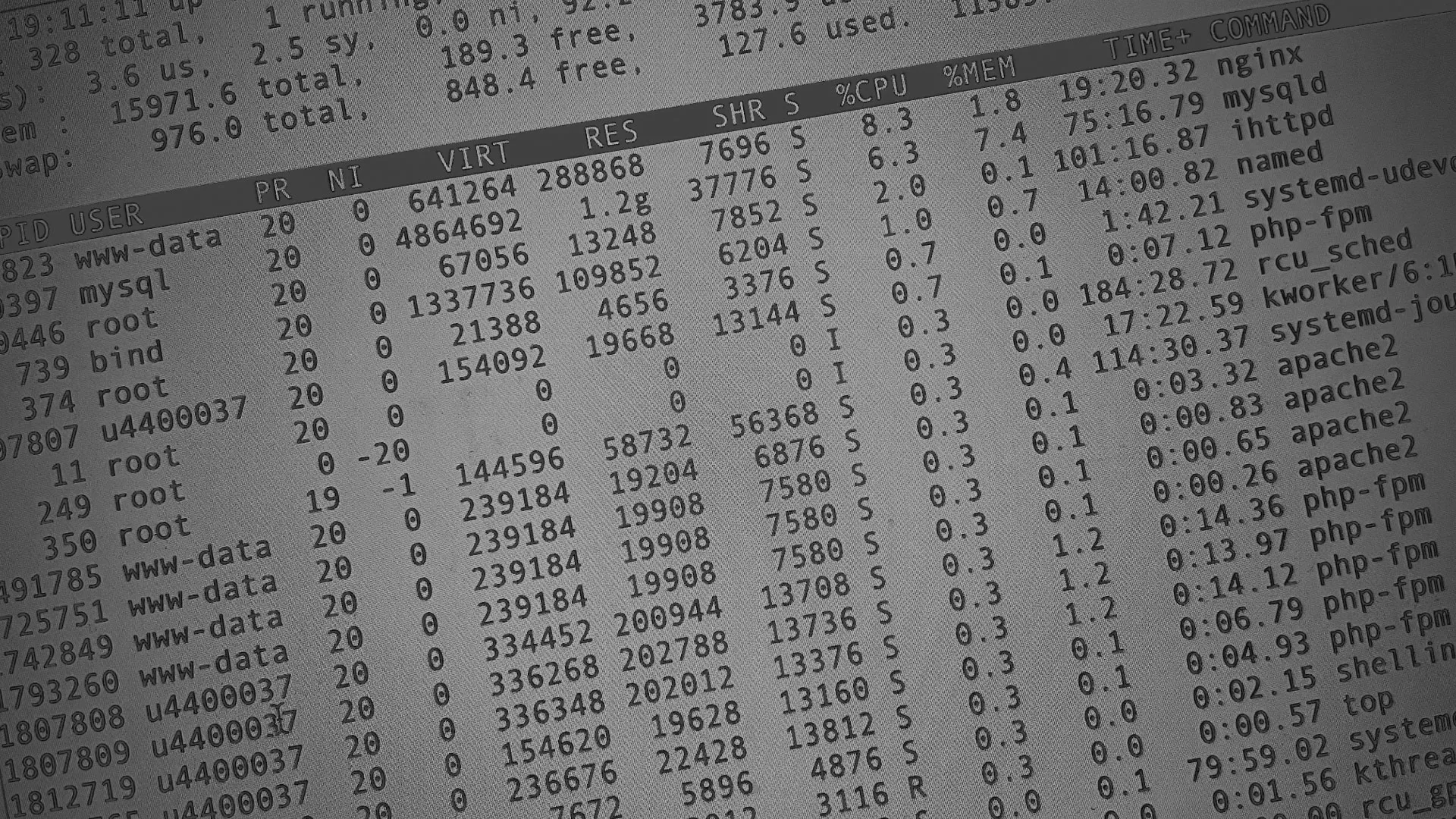 Настройка сервера в Камызяке