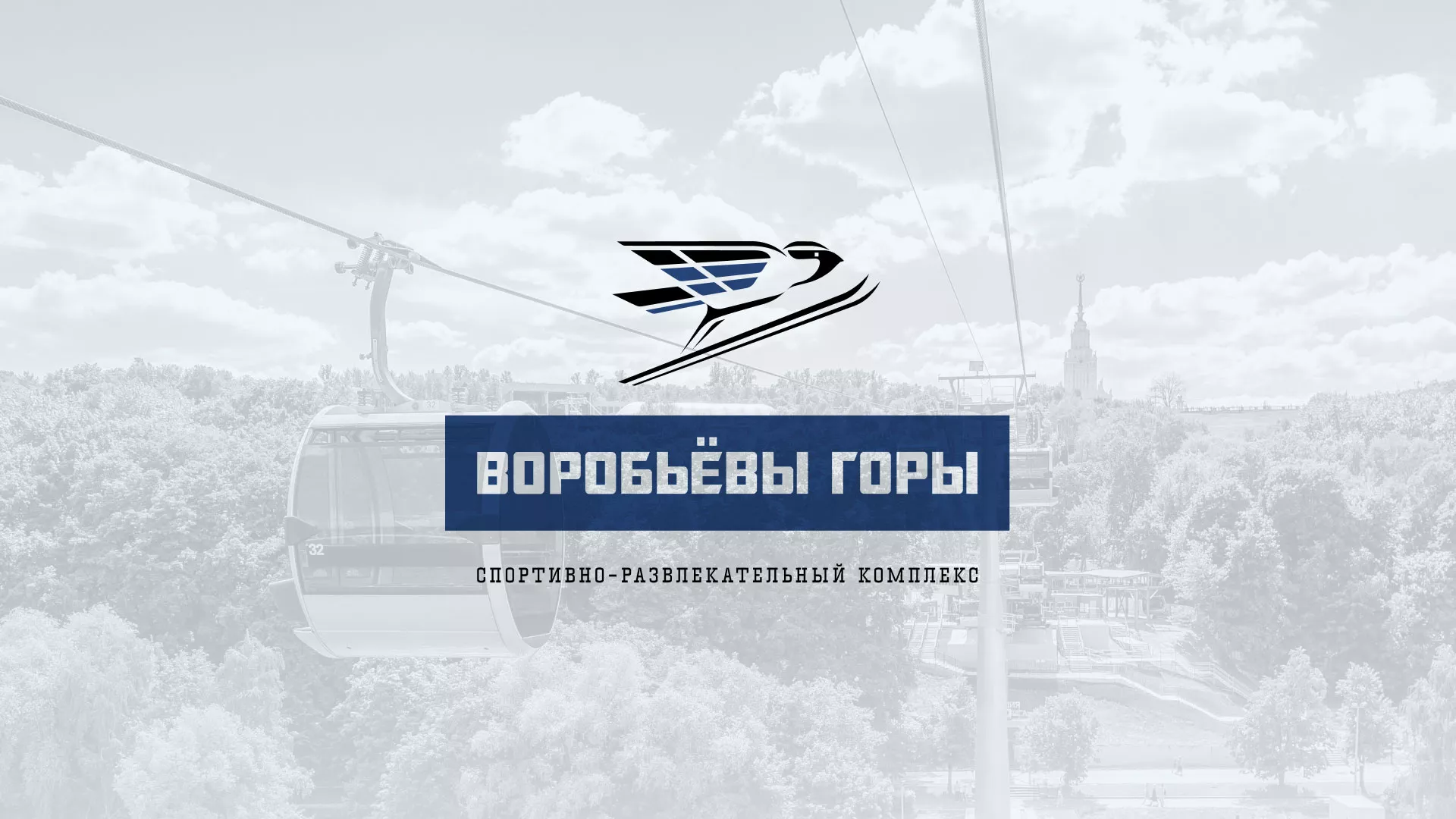 Разработка сайта в Камызяке для спортивно-развлекательного комплекса «Воробьёвы горы»