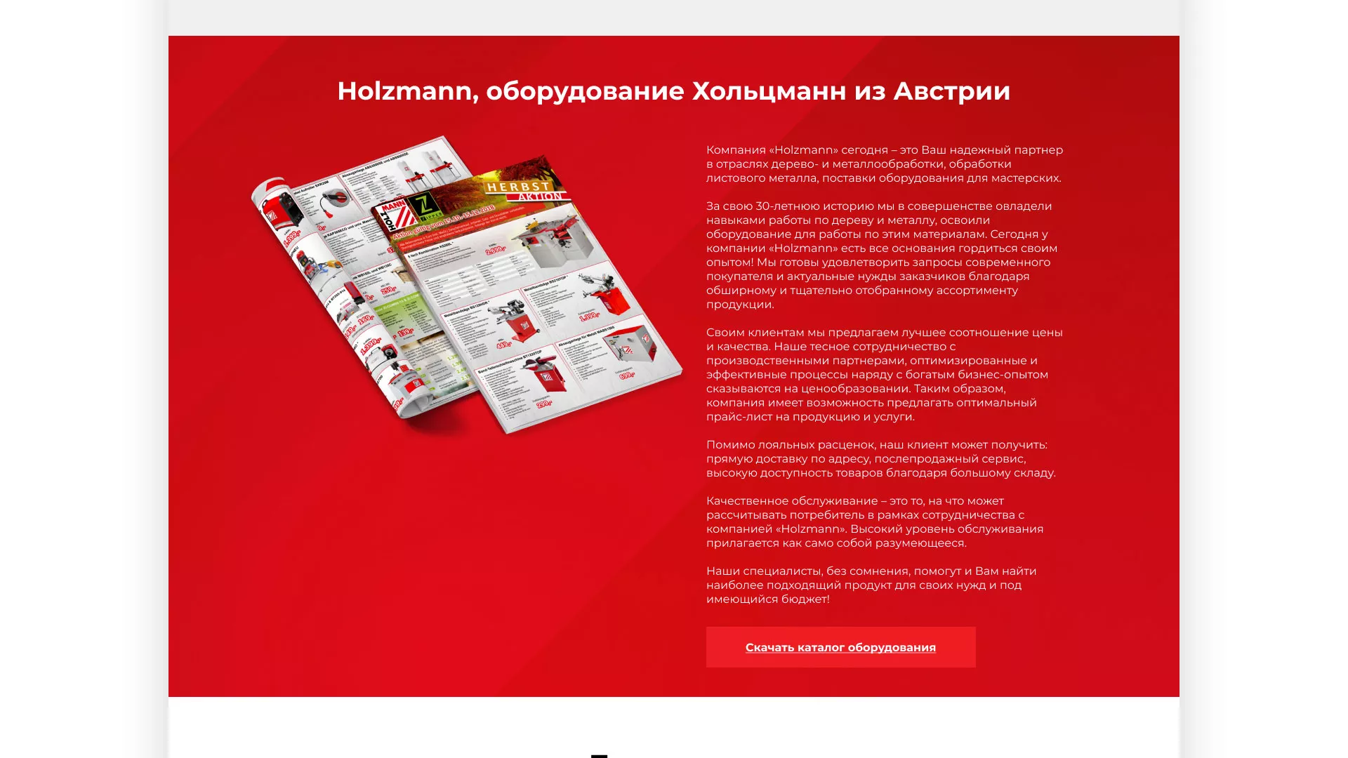 Создание сайта компании «HOLZMANN Maschinen GmbH» в Камызяке