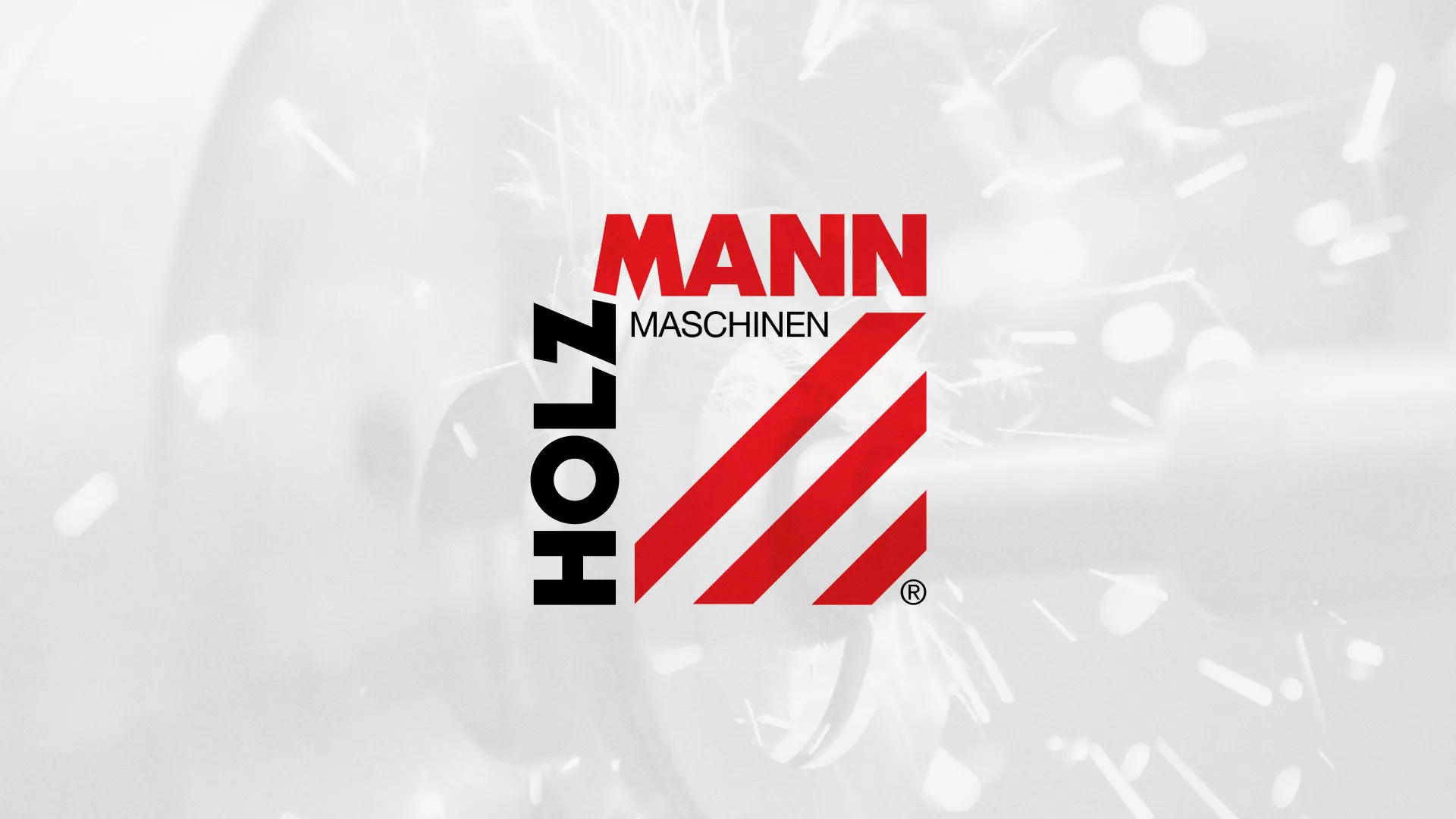 Создание сайта компании «HOLZMANN Maschinen GmbH» в Камызяке