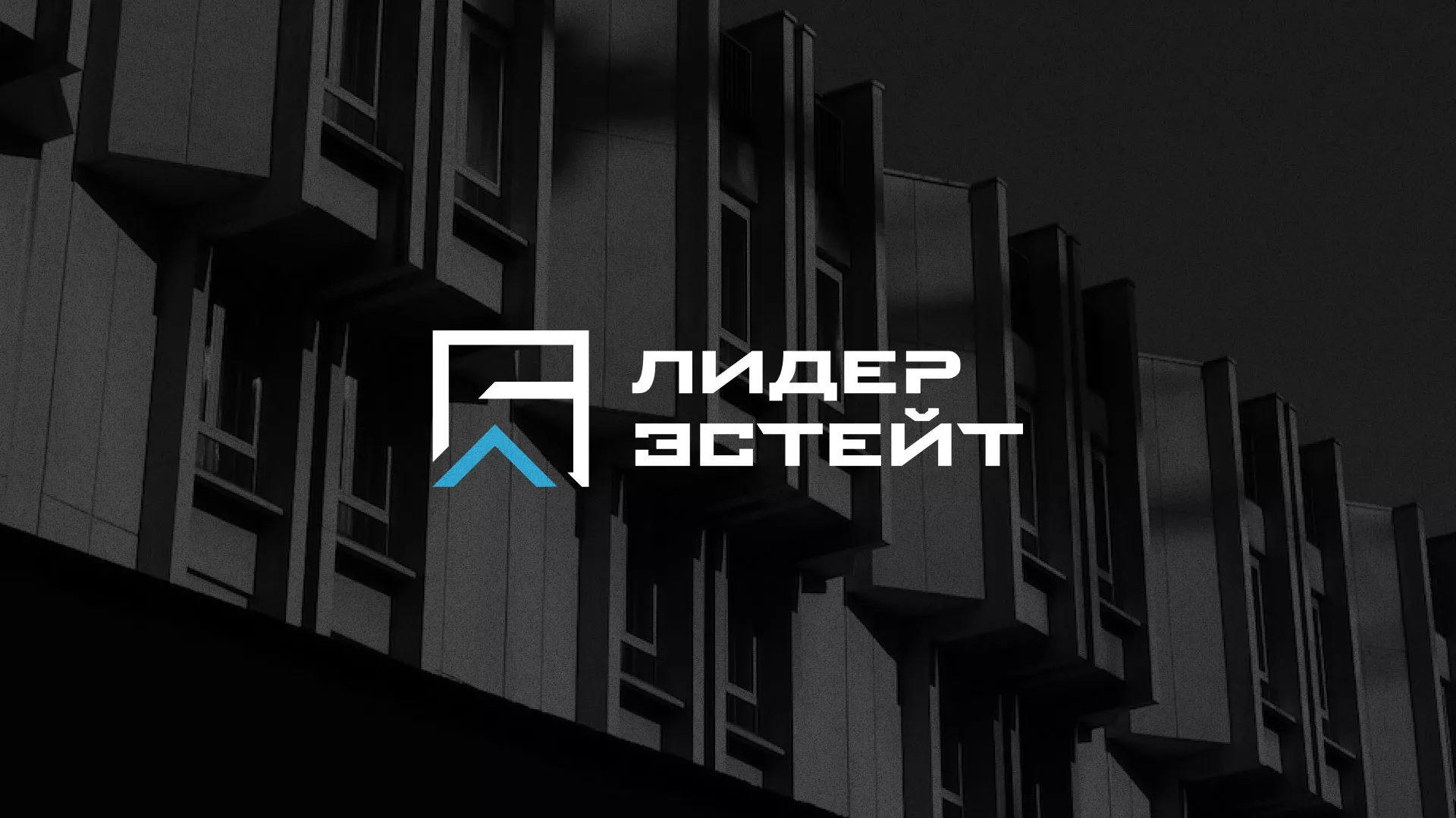Разработка логотипа агентства недвижимости «Лидер Эстейт» в Камызяке